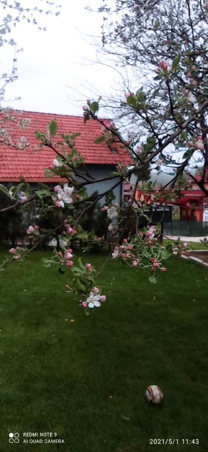 Ravne Apartman Visoko Luaran gambar